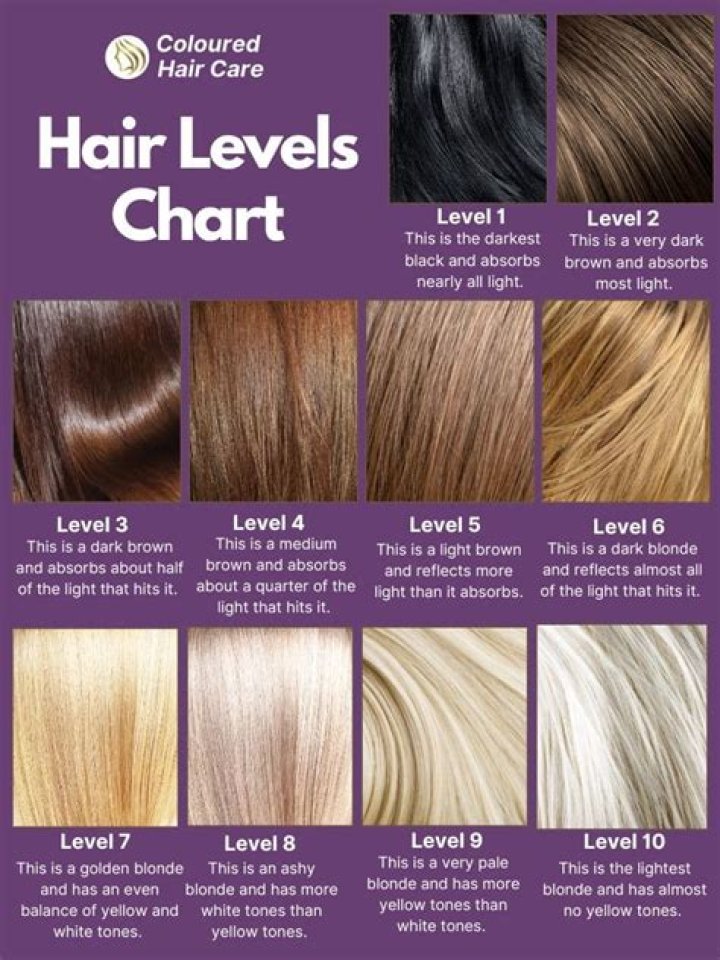 What level is 820L?