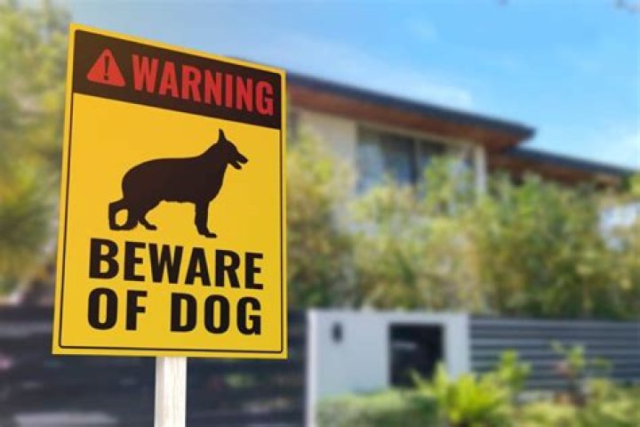 What liability does Dogs Trust have?
