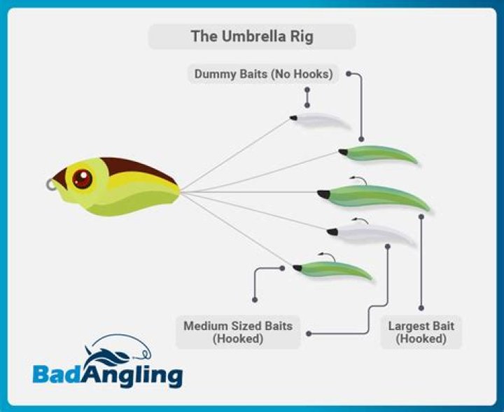 What line do you use for umbrella rig?