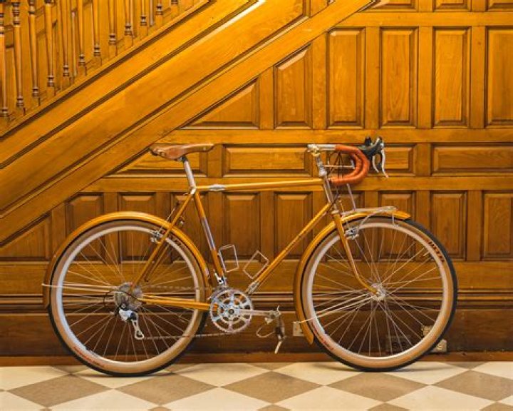 What makes a rando bike?