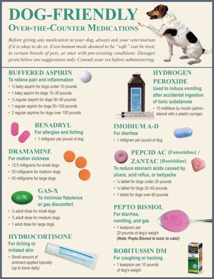 What medicine can I give my dog for itching?