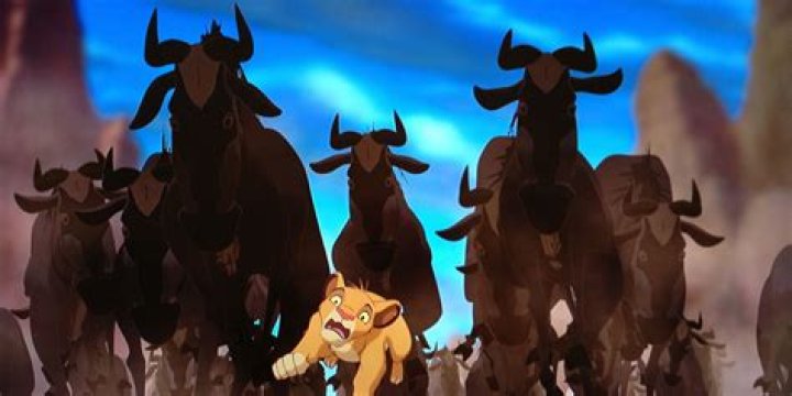 What movie is stampede from?