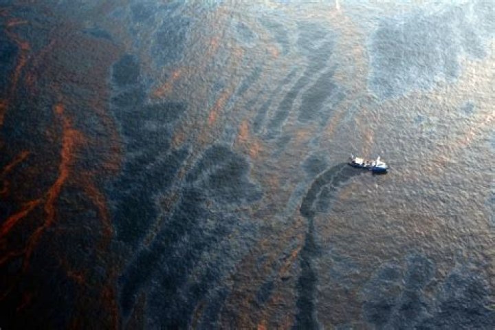 What resulted from the 2010 BP Deepwater Horizon oil spill?