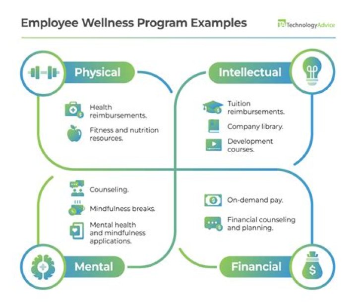 What should a wellness program include?