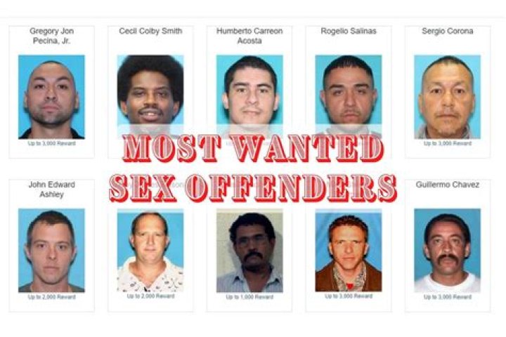What state has the most female sex offenders?