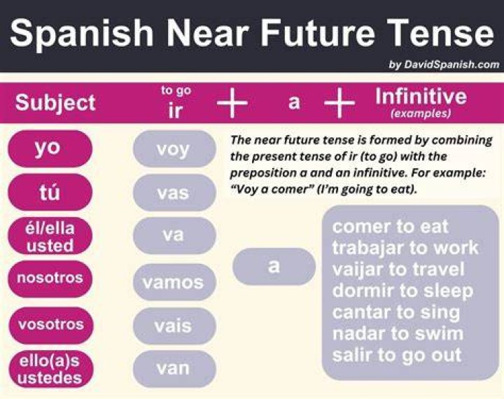 What tense in Spanish is fue?