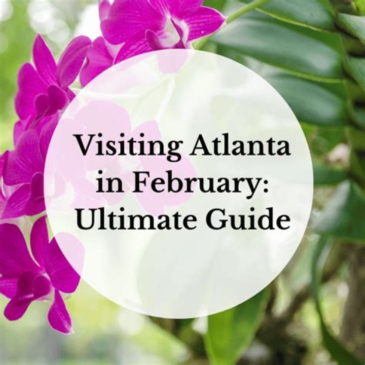What to do in Atlanta in February 2022?