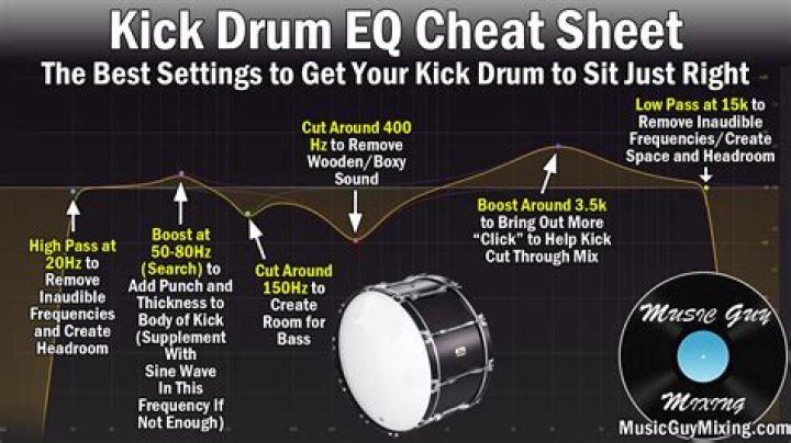 What type of mic is best for drums?
