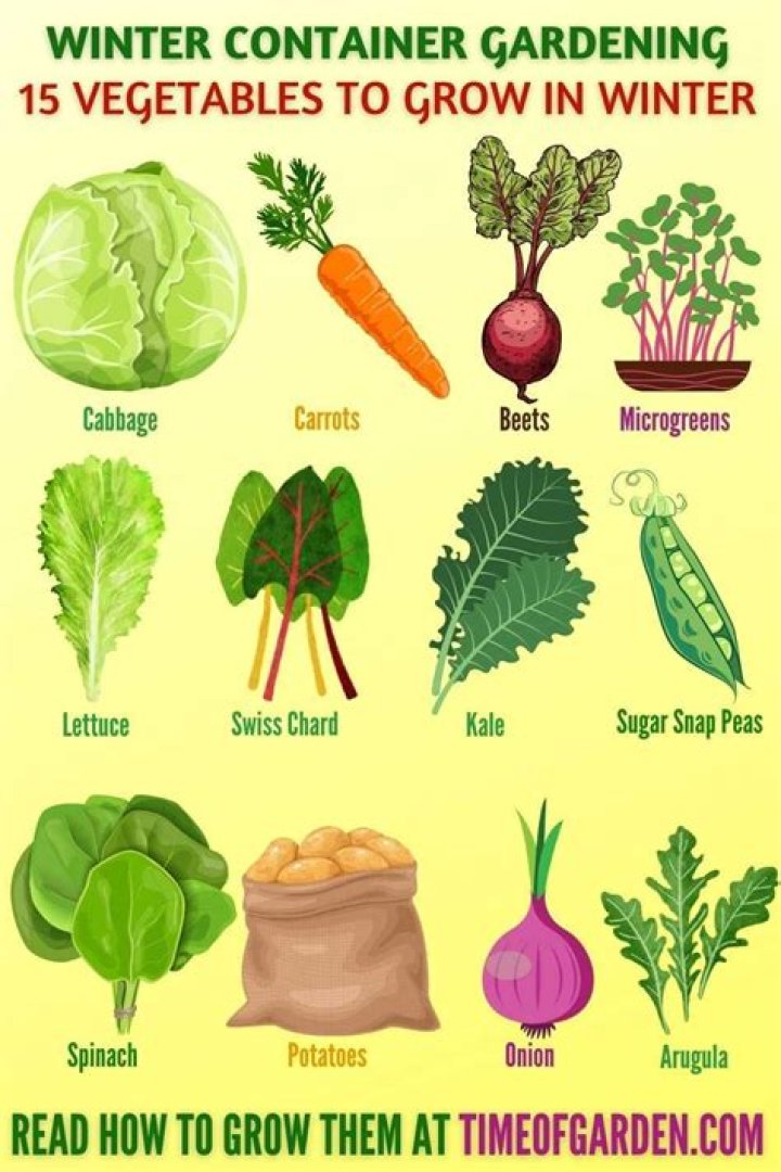 What vegetables grow in pots in winter?