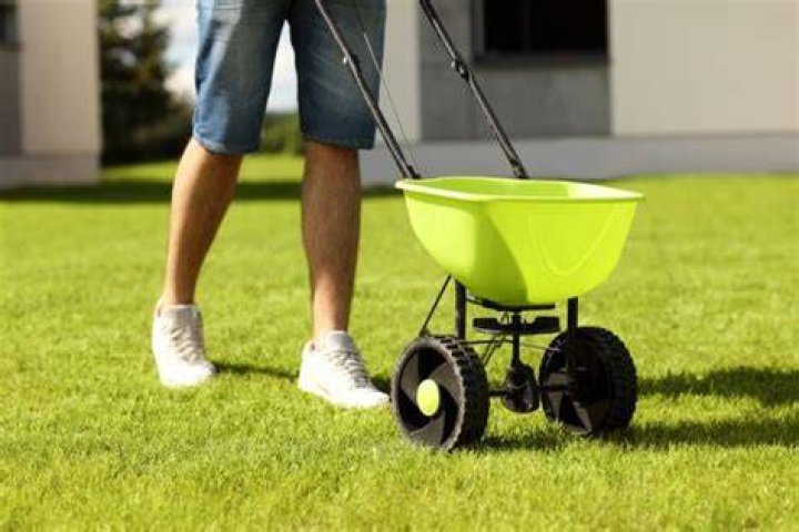 When should I put lime on my lawn in NJ?
