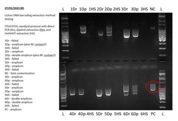 When should you run with gel?