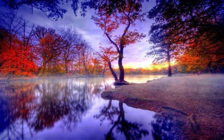 Where can I download wallpapers for my computer?