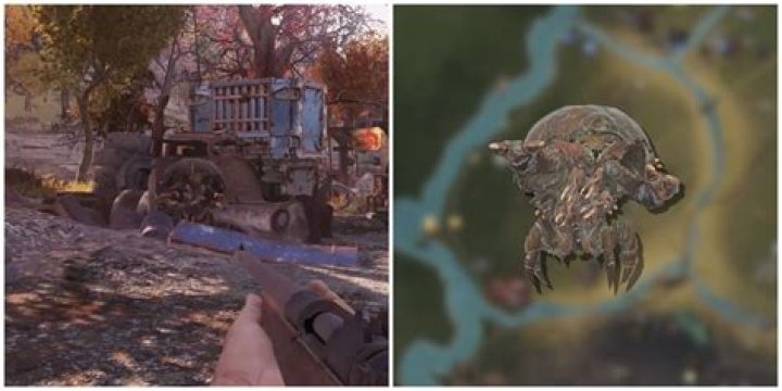 Where can I farm feral ghouls?