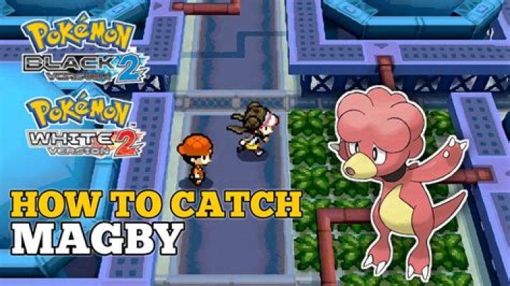 Where do you find Magby in Pokemon Black 2?