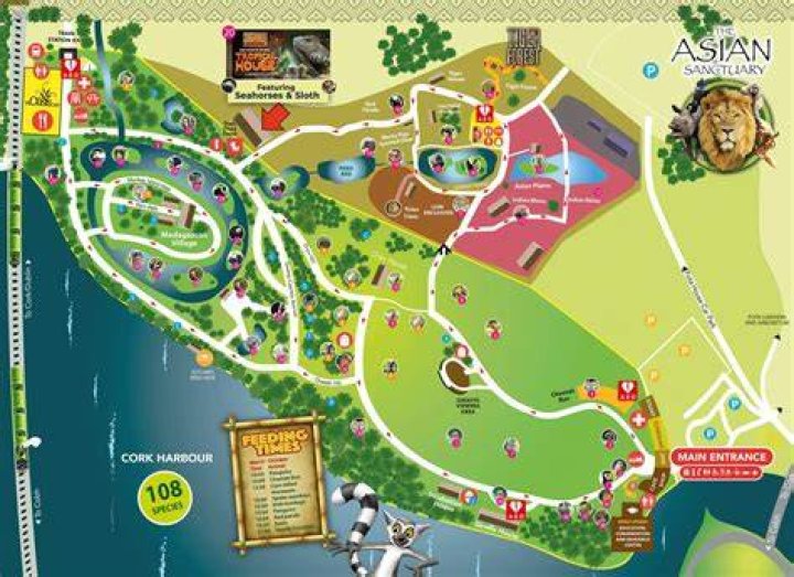 Where is FOTA located?
