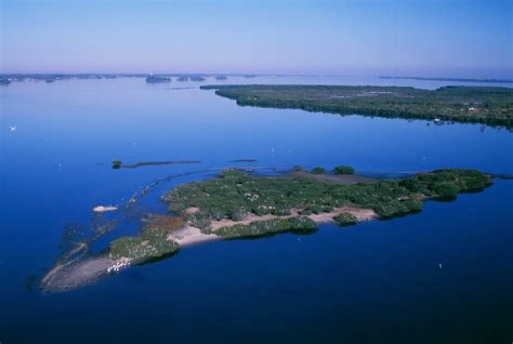 Where is Pelican Island Louisiana?