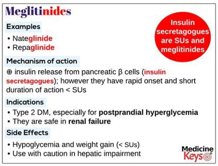 Which drugs are meglitinides?