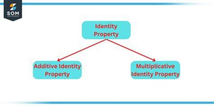 Which elements are multiplicative identity?