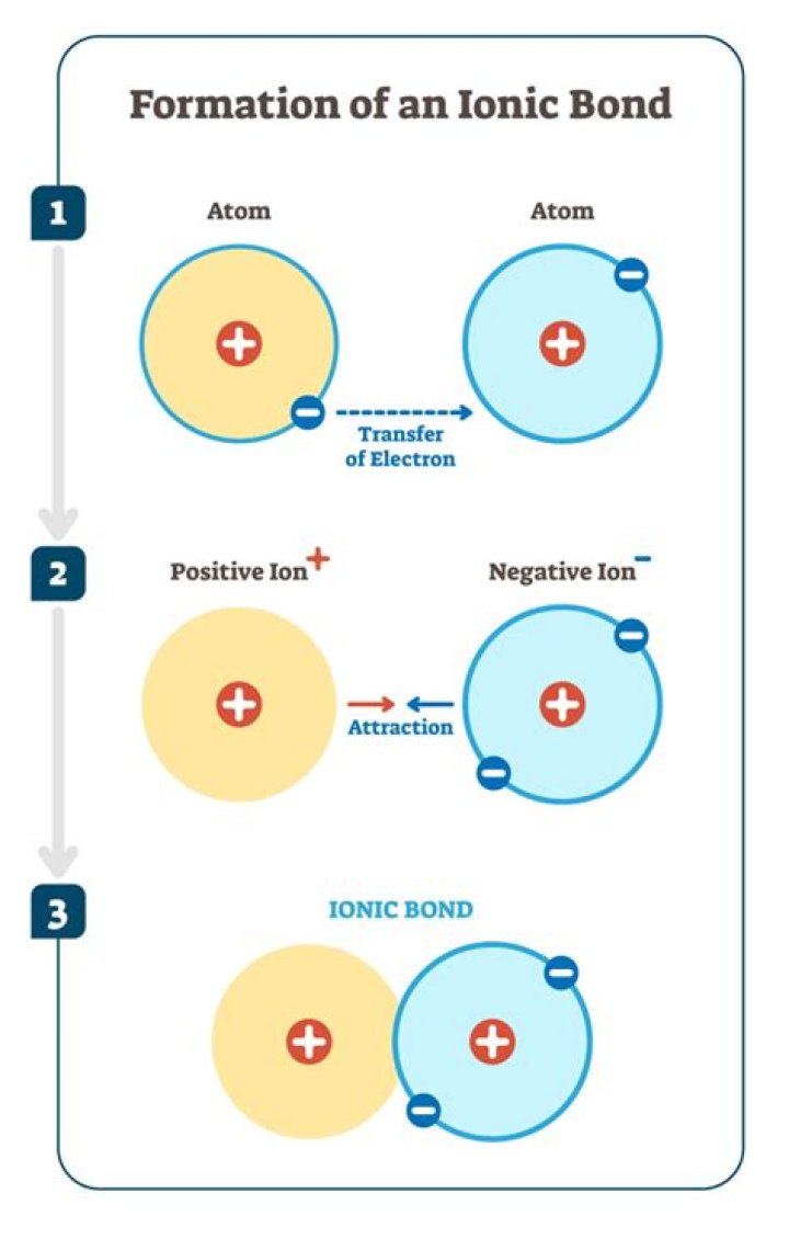 Which ion has high mobility in water?