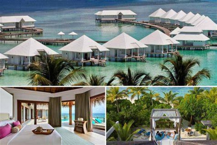 Which is best for honeymoon Maldives or Seychelles?