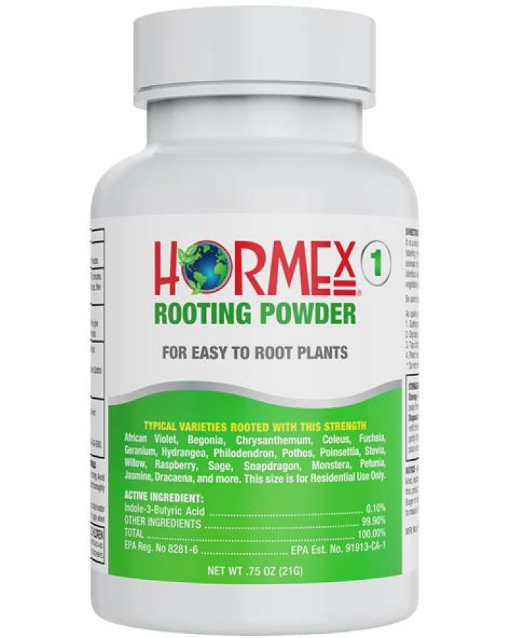 Which is the best rooting hormone?