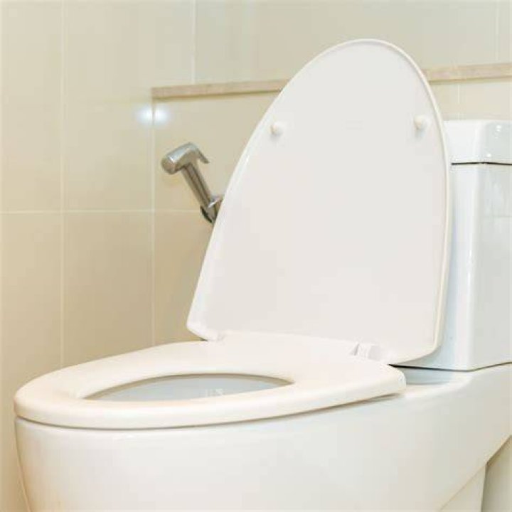 Which toilet sheet is best?