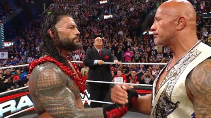 Who did WWE release in 2014?