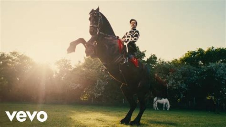 Who has the horse in the outsiders?