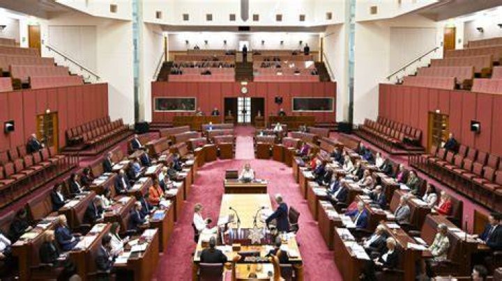 Who is the federal member of Parliament?