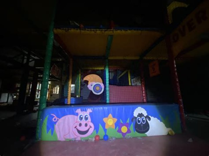 Why did Wacky Warehouse closed?