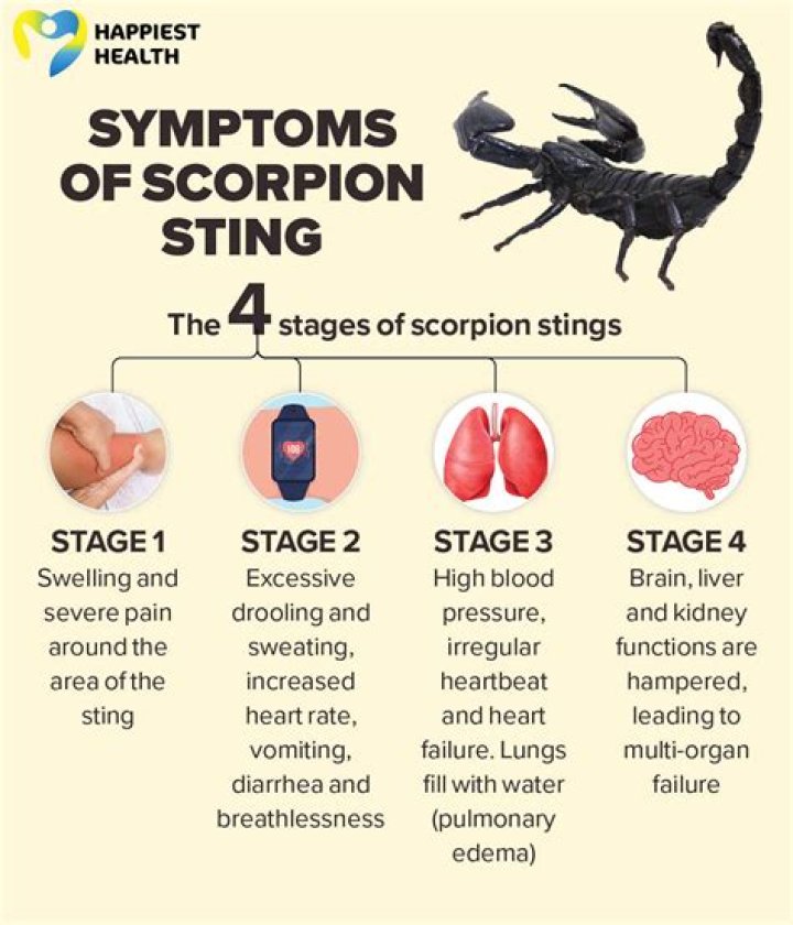 Why do scorpions sting themselves?