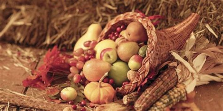 Why is the cornucopia significant to Thanksgiving?