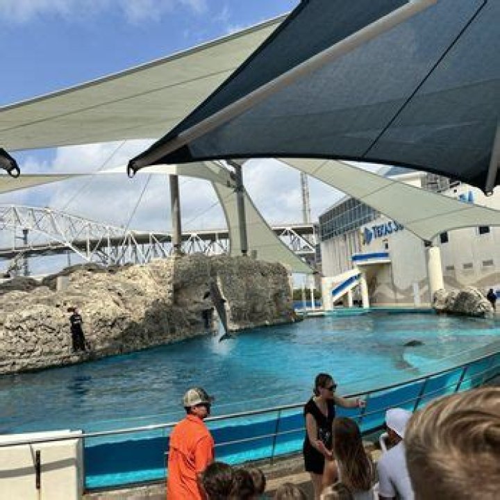 Why is the Texas State Aquarium so expensive?