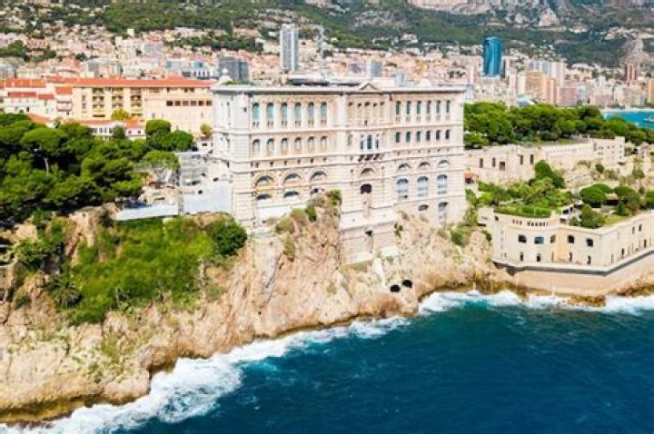 Why visit the Oceanographic Museum of Monaco?
